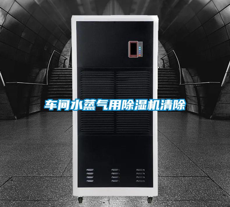 車(chē)間水蒸氣用除濕機清除