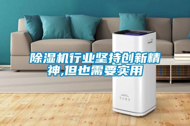 除濕機行業(yè)堅持創(chuàng  )新精神,但也需要實(shí)用