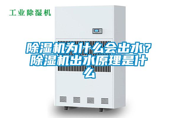 除濕機為什么會(huì )出水？除濕機出水原理是什么