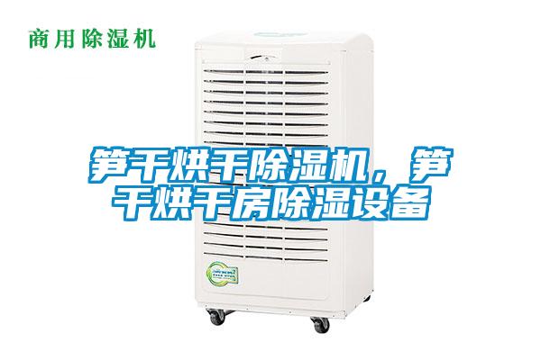 筍干烘干除濕機，筍干烘干房除濕設備