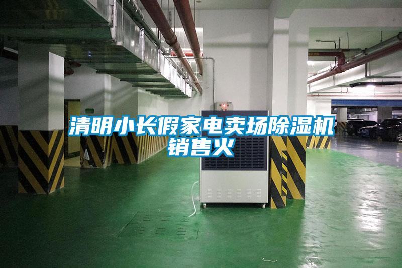 清明小長(cháng)假家電賣(mài)場(chǎng)除濕機銷(xiāo)售火