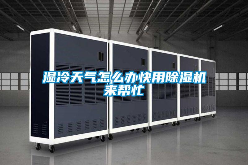 濕冷天氣怎么辦快用除濕機來(lái)幫忙