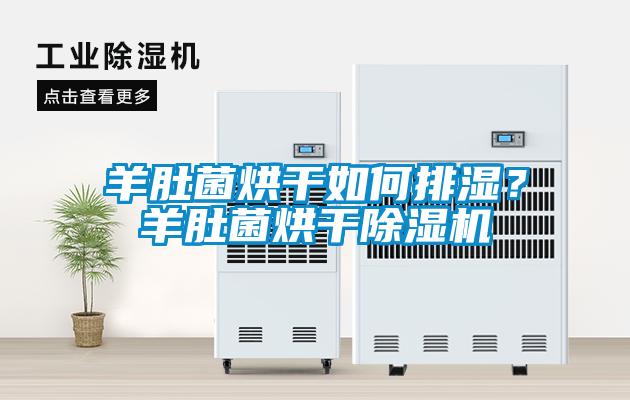 羊肚菌烘干如何排濕？羊肚菌烘干除濕機