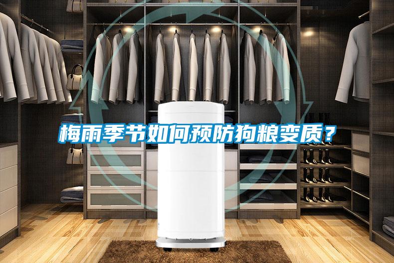 梅雨季節如何預防狗糧變質(zhì)？