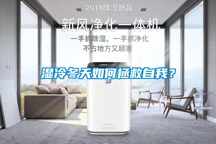 濕冷冬天如何拯救自我？