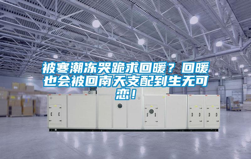 被寒潮凍哭跪求回暖？回暖也會(huì )被回南天支配到生無(wú)可戀！