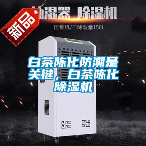 白茶陳化防潮是關(guān)鍵，白茶陳化除濕機
