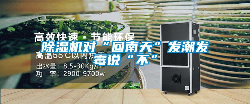除濕機對“回南天”發(fā)潮發(fā)霉說(shuō)“不”
