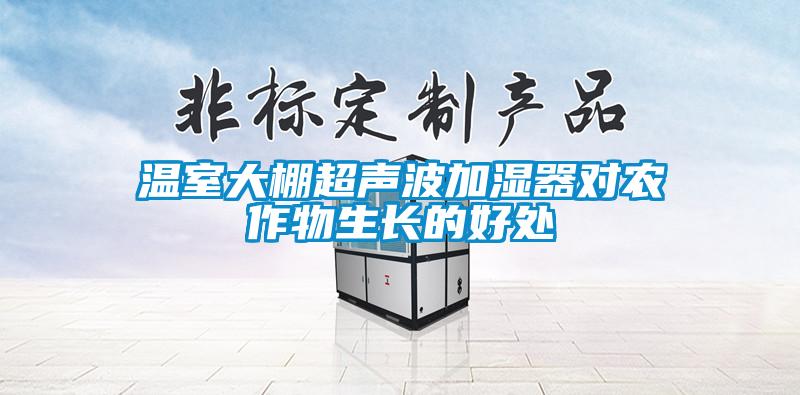 溫室大棚超聲波加濕器對農作物生長(cháng)的好處