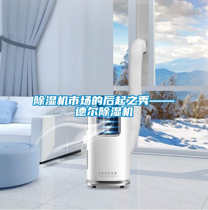 除濕機市場(chǎng)的后起之秀——德?tīng)柍凉駲C