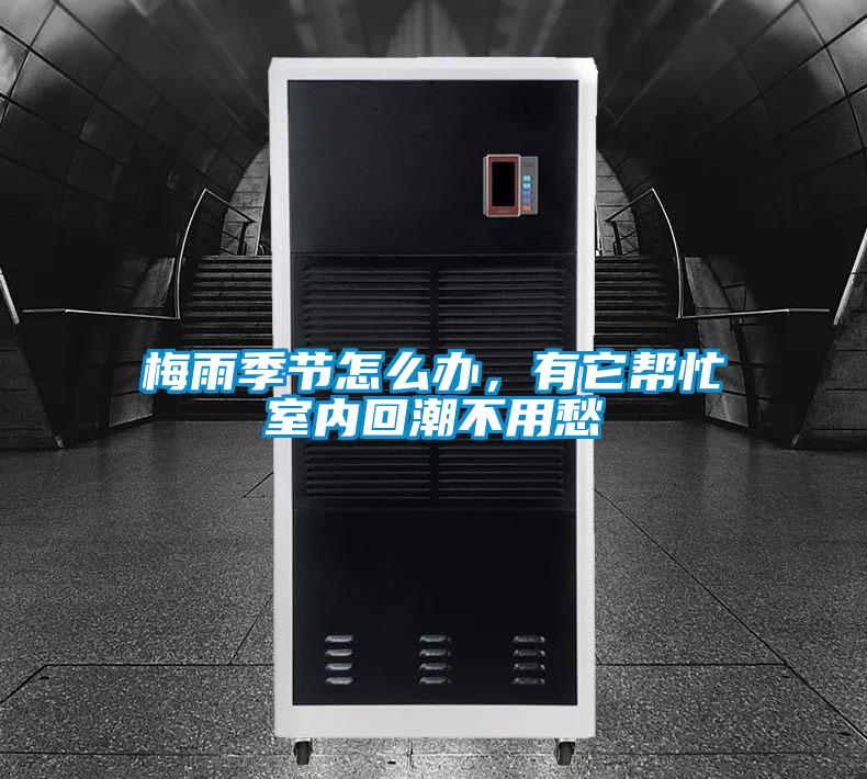 梅雨季節怎么辦，有它幫忙室內回潮不用愁