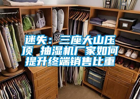 迷失：三座大山壓頂 抽濕機廠(chǎng)家如何提升終端銷(xiāo)售比重