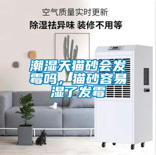 潮濕天貓砂會(huì )發(fā)霉嗎，貓砂容易濕了發(fā)霉