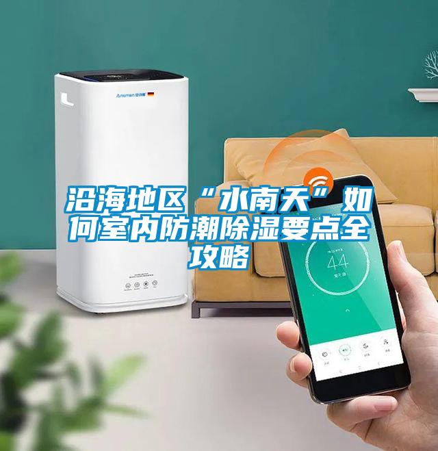 沿海地區“水南天”如何室內防潮除濕要點(diǎn)全攻略