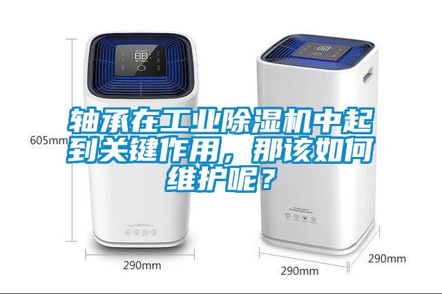 軸承在工業(yè)除濕機中起到關(guān)鍵作用，那該如何維護呢？