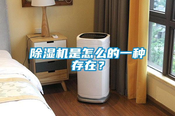 除濕機是怎么的一種存在？