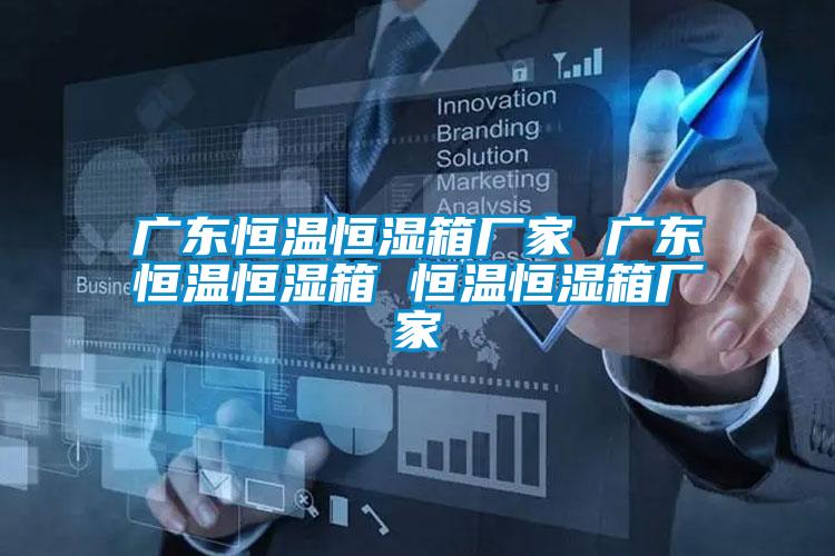 廣東恒溫恒濕箱廠(chǎng)家 廣東恒溫恒濕箱 恒溫恒濕箱廠(chǎng)家
