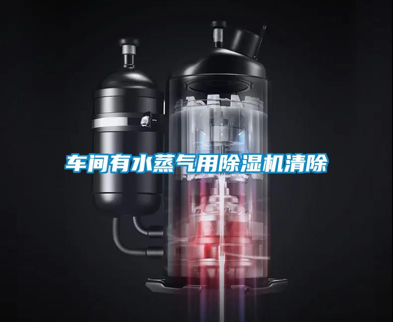 車(chē)間有水蒸氣用除濕機清除
