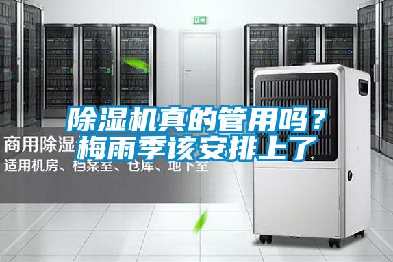 除濕機真的管用嗎？梅雨季該安排上了