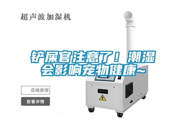 鏟屎官注意了！潮濕會(huì )影響寵物健康~
