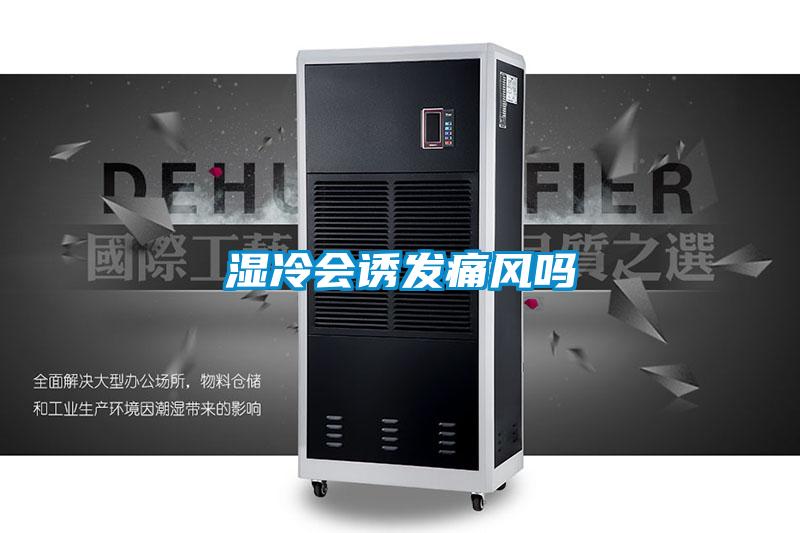 濕冷會(huì )誘發(fā)痛風(fēng)嗎