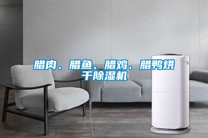 臘肉、臘魚(yú)、臘雞、臘鴨烘干除濕機