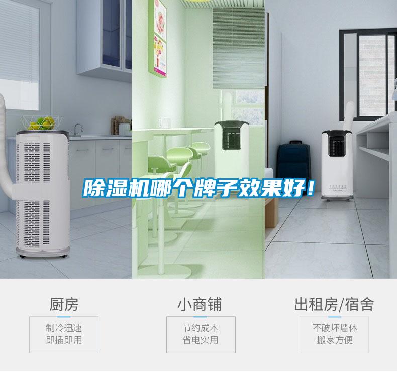 除濕機哪個(gè)牌子效果好！