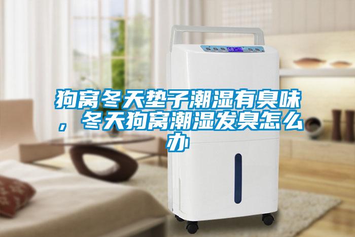 狗窩冬天墊子潮濕有臭味，冬天狗窩潮濕發(fā)臭怎么辦