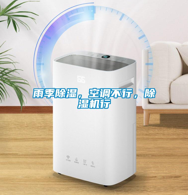 雨季除濕，空調不行，除濕機行