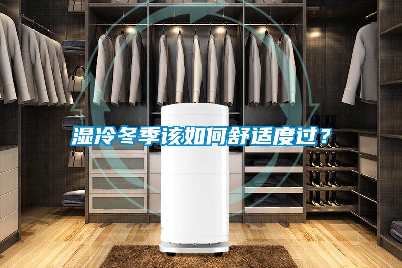 濕冷冬季該如何舒適度過(guò)？