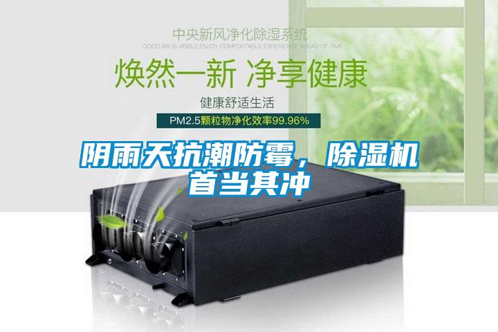 陰雨天抗潮防霉，除濕機首當其沖