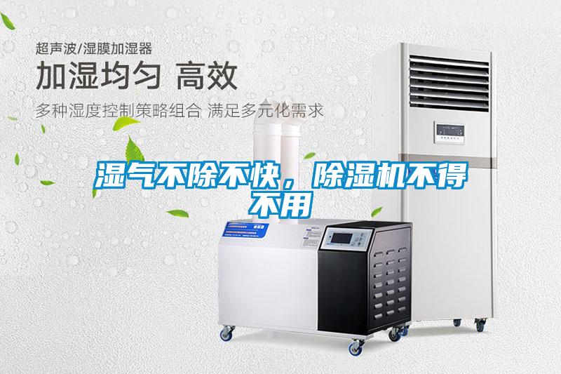 濕氣不除不快，除濕機不得不用