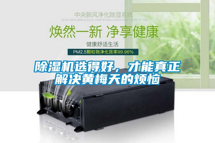 除濕機選得好，才能真正解決黃梅天的煩惱