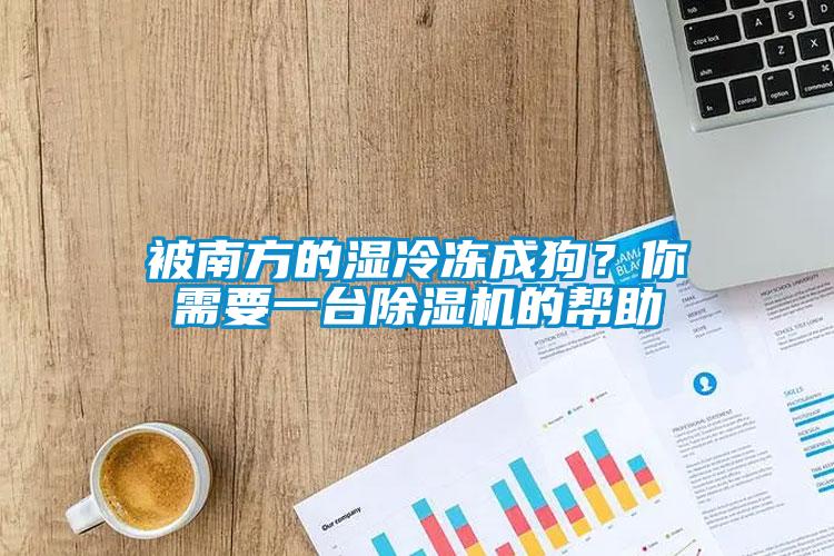 被南方的濕冷凍成狗？你需要一臺除濕機的幫助