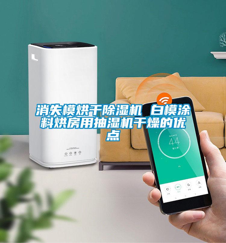 消失模烘干除濕機 白模涂料烘房用抽濕機干燥的優(yōu)點(diǎn)