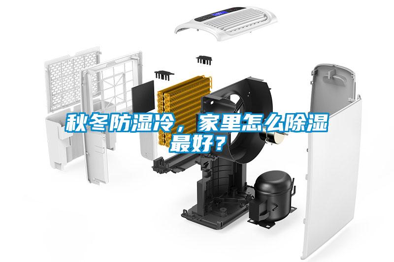 秋冬防濕冷，家里怎么除濕最好？