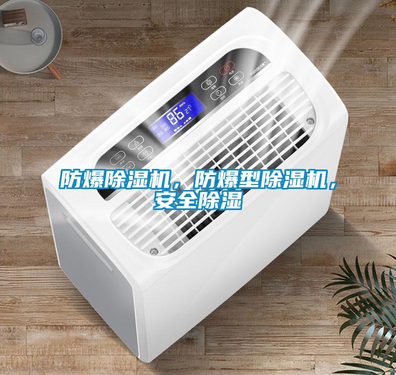 防爆除濕機，防爆型除濕機，安全除濕
