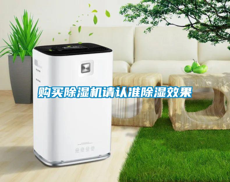 購買(mǎi)除濕機請認準除濕效果