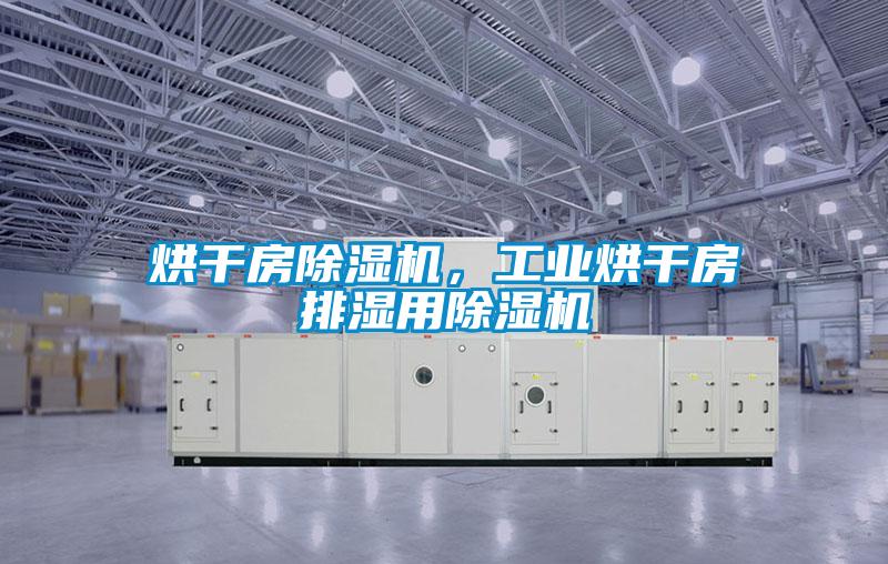 烘干房除濕機，工業(yè)烘干房排濕用除濕機