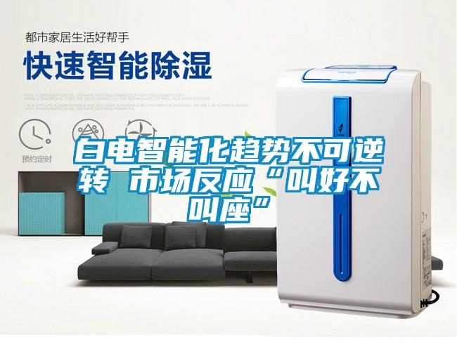 白電智能化趨勢不可逆轉 市場(chǎng)反應“叫好不叫座”