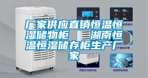 廠(chǎng)家供應直銷(xiāo)恒溫恒濕儲物柜   湖南恒溫恒濕儲存柜生產(chǎn)廠(chǎng)家
