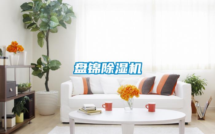 盤(pán)錦除濕機