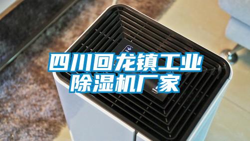 四川回龍鎮工業(yè)除濕機廠(chǎng)家