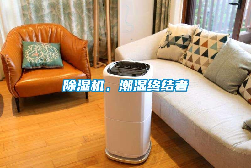 除濕機，潮濕終結者
