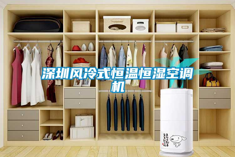 深圳風(fēng)冷式恒溫恒濕空調機