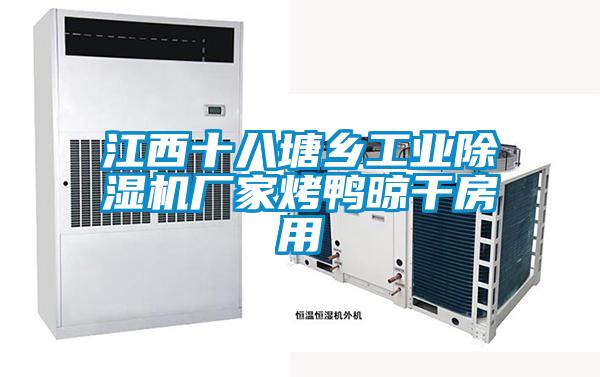 江西十八塘鄉工業(yè)除濕機廠(chǎng)家烤鴨晾干房用
