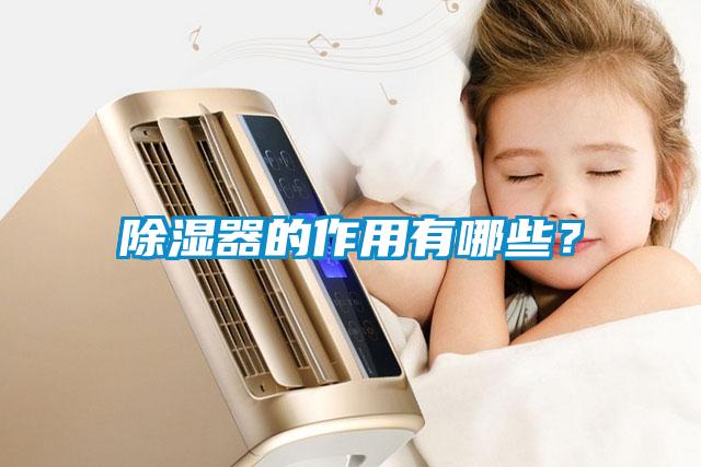 除濕器的作用有哪些？