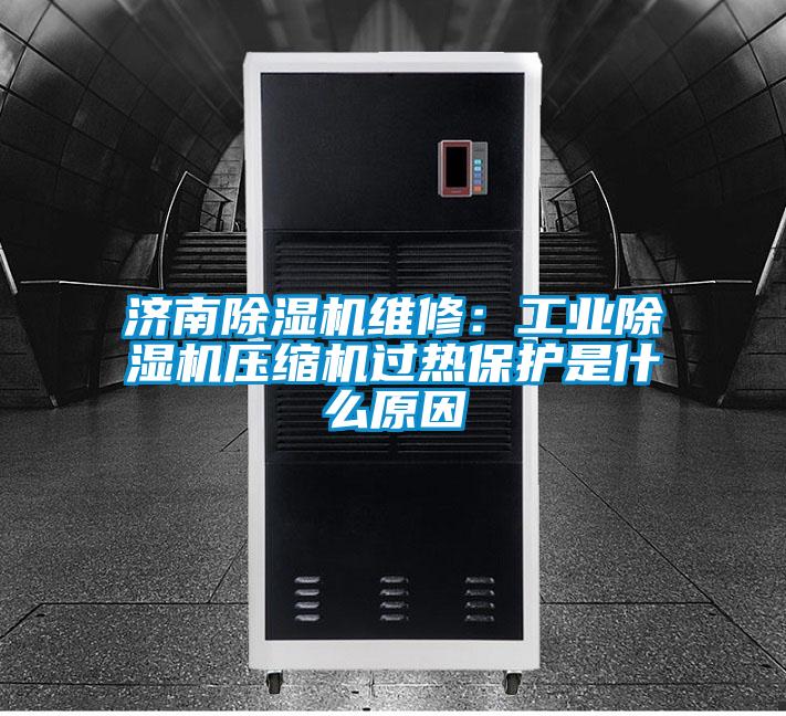 濟南除濕機維修：工業(yè)除濕機壓縮機過(guò)熱保護是什么原因