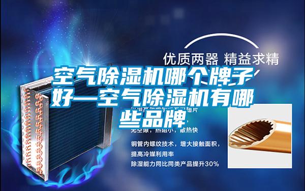 空氣除濕機哪個(gè)牌子好—空氣除濕機有哪些品牌