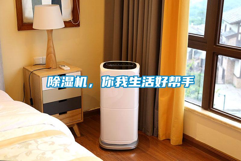 除濕機，你我生活好幫手